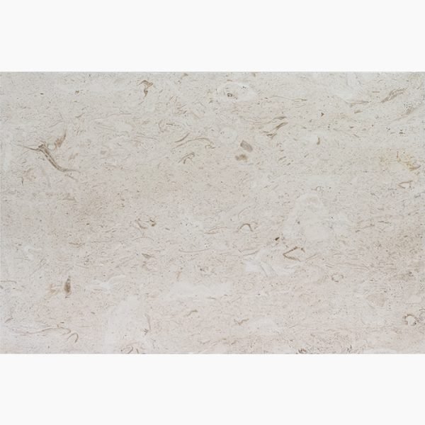 Tumbled Shellstone Shell Stone Paver - 24x24 Shell Stone Tumbled Limestone Paver - Stone-Mart